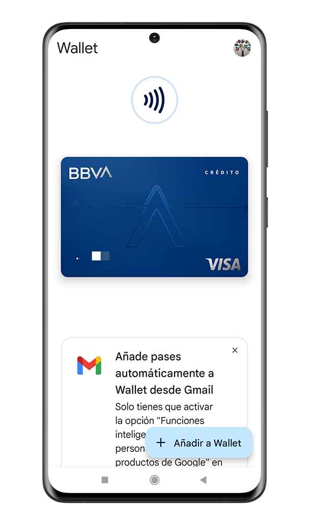 Google Wallet la APK